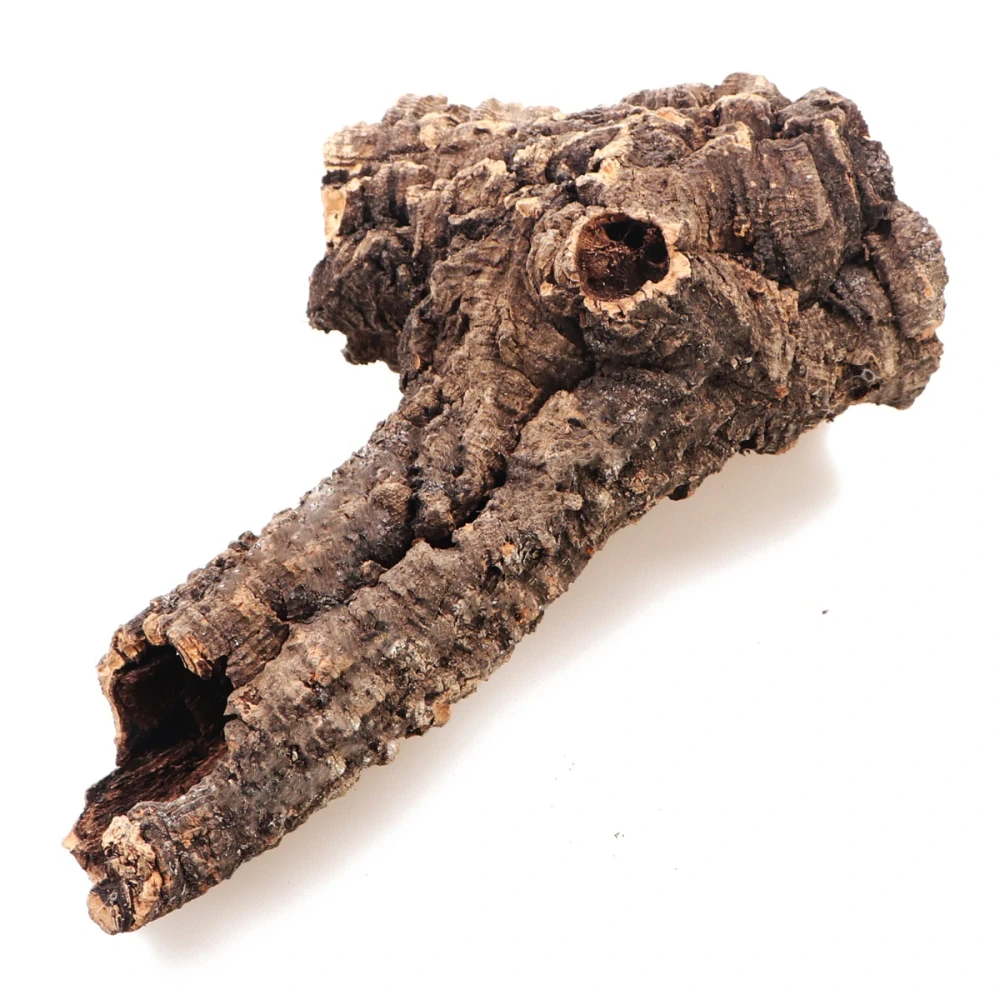 Kůra korkového dubu L (do Ø12 cm)