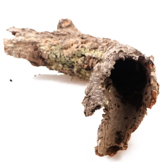 Kůra korkového dubu M (do Ø12 cm)