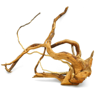 Kořen Red Moor wood XXL (>1,1 kg)